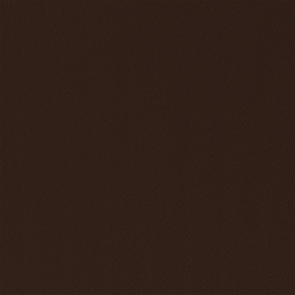 COLOR - 25 Smoked Brown.jpg